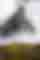Sample Photo 20